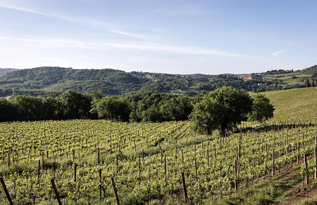 Pieve Aldina - Relais & Chateaux-1